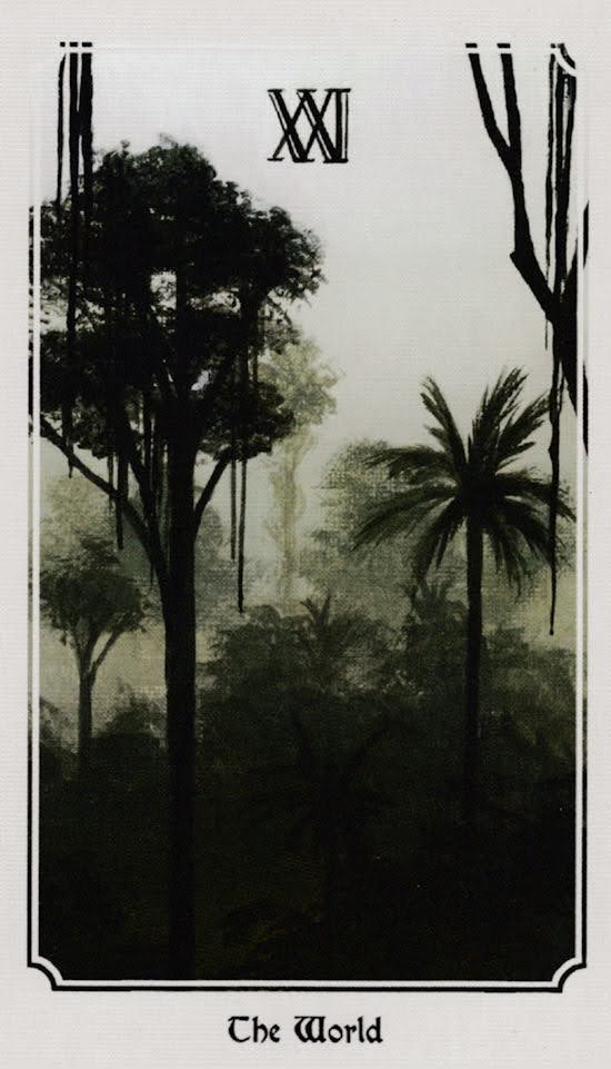 Anima Mundi Tarot